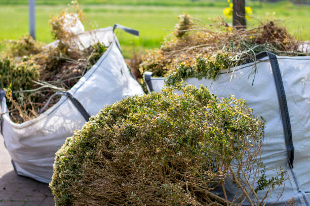 Best Junk Hauling Services  in Prosper, TX